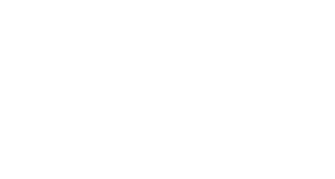 THE PENANG RENDEZVOUS